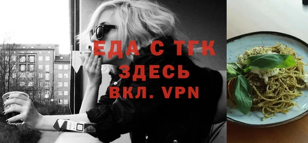 индика Бородино
