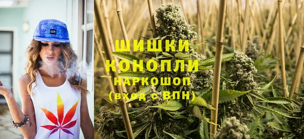 винт Бронницы