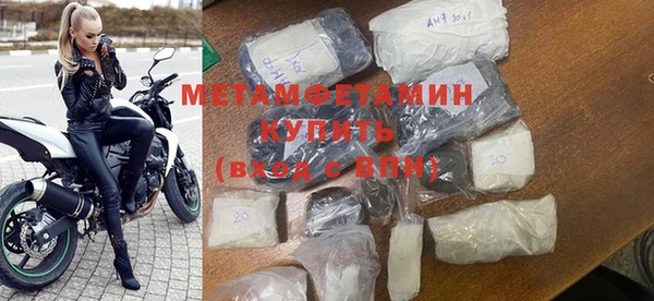 индика Бородино