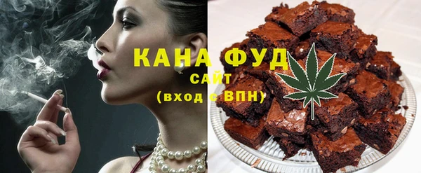 индика Бородино