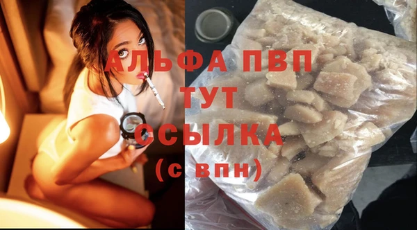 индика Бородино