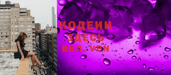 индика Бородино