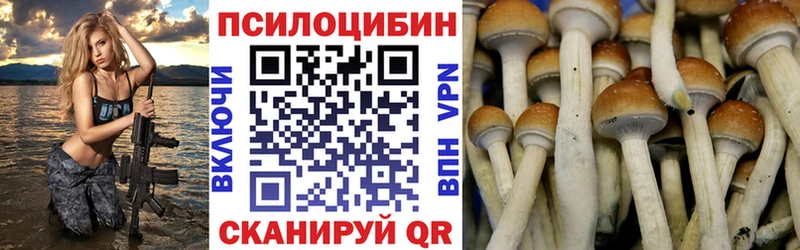 купить наркоту  hydra зеркало  Галлюциногенные грибы Cubensis  shop телеграм  Сковородино 