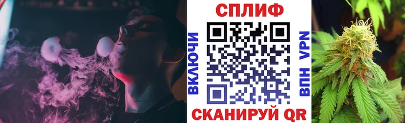Бошки марихуана конопля  Сковородино 